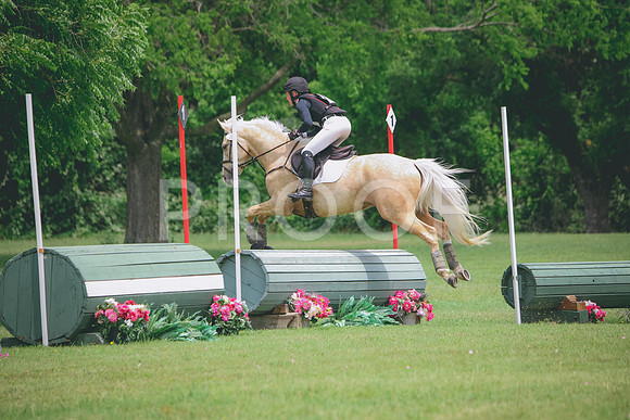 RWP_2217