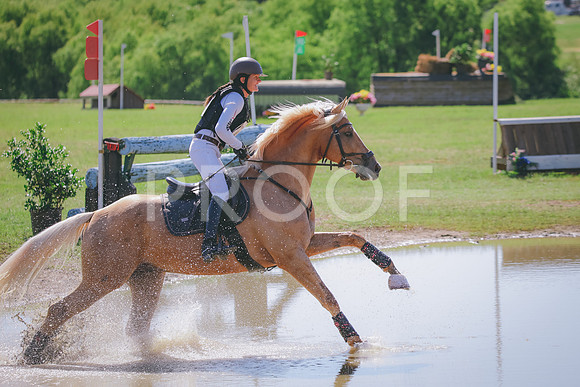 RWP_3940