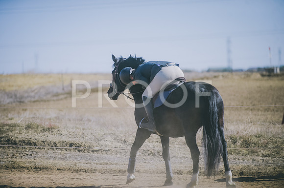 JJS_6315A