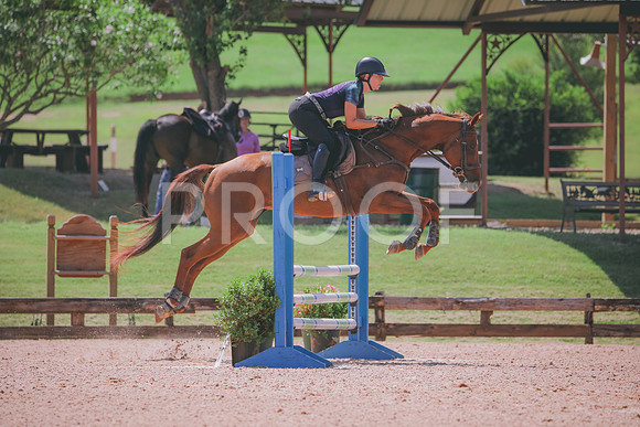 RWP_5223