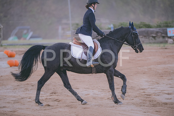 JJS_3933