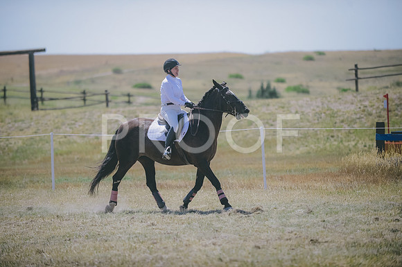 JJS_5831