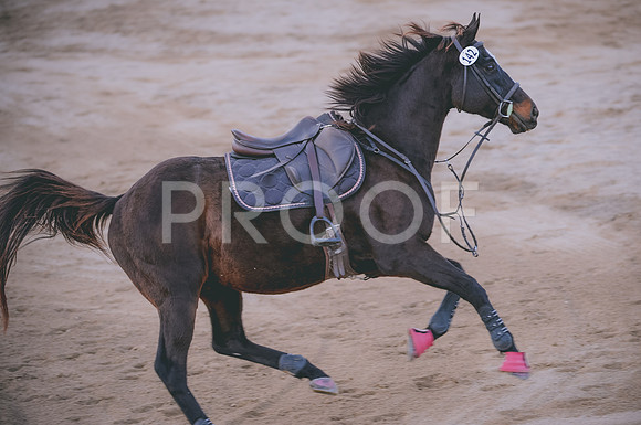 JJS_3825