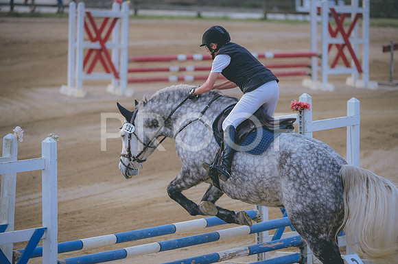 JJS_1527