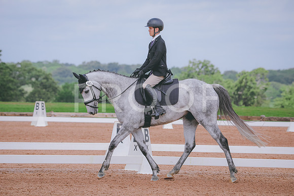 RWP_4133