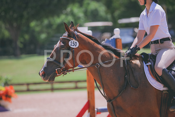 RWP_5329
