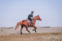 CDH_9782