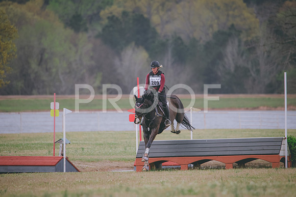 RWP_8581