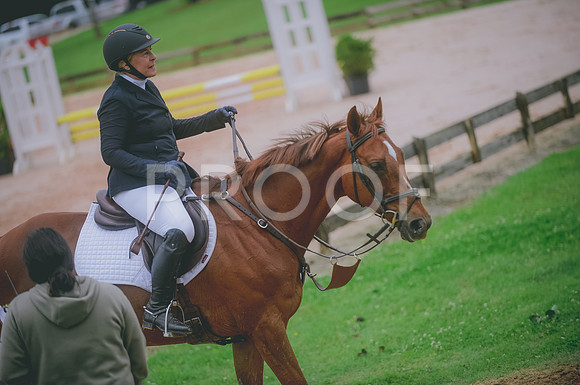 000_3450 copy