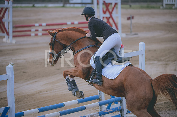 JJS_2216