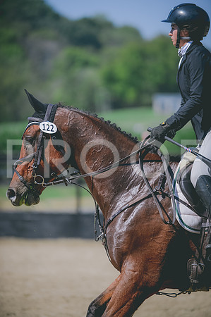 JJS_8138