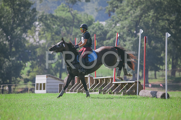 RWP_6442