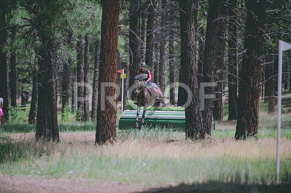 JJS_1785