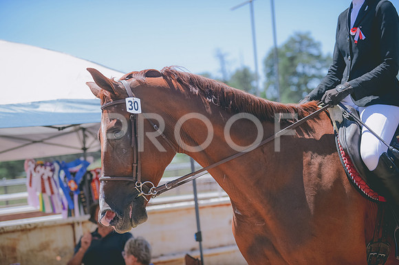 JJS_1671