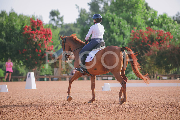 RWP_4293