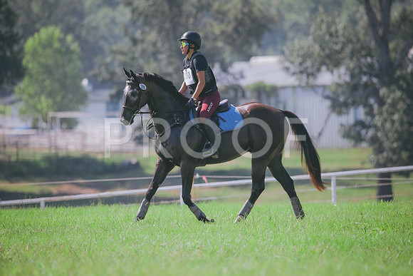 RWP_6436