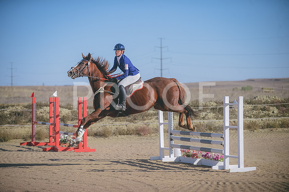 JJS_0401