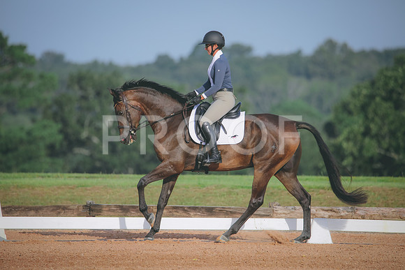 RWP_4377