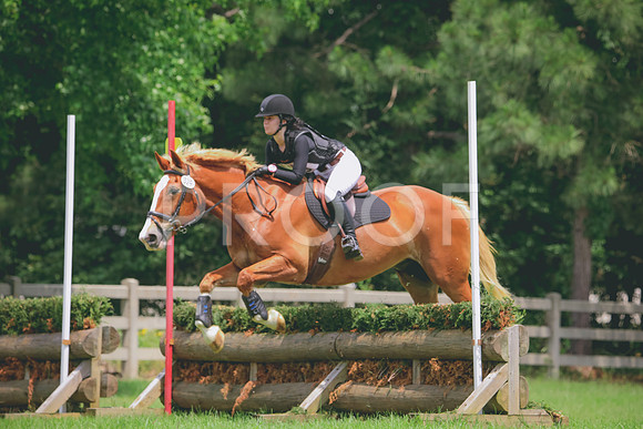 RWP_4849