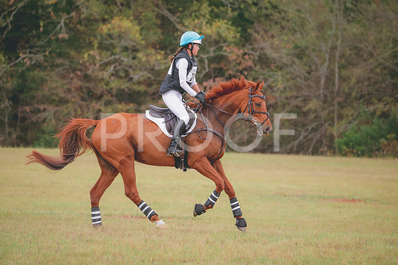 RWP_3756