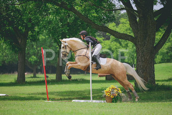 RWP_2255