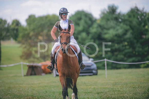 JJS_1431