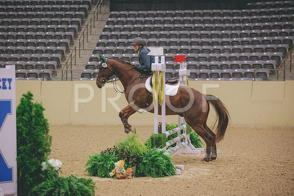 0N0A2918