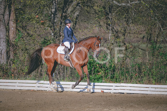 JJS_5201