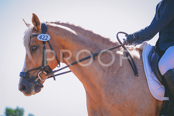 RWP_9858