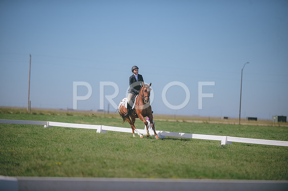 JJS_2141