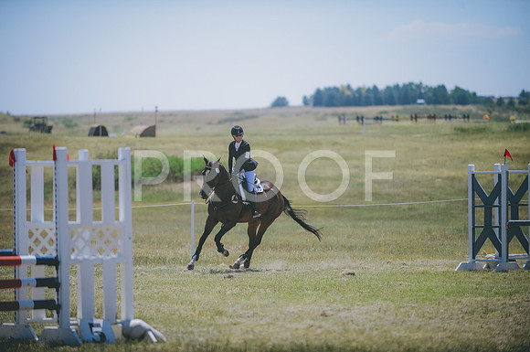 JJS_7933