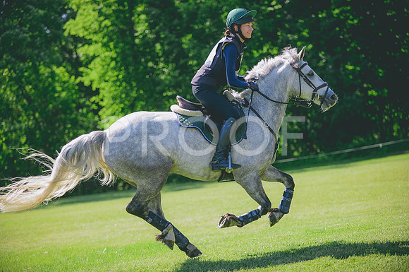 JJS_2884