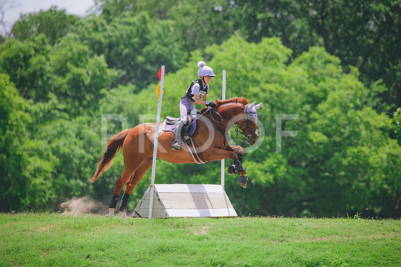 RWP_3691