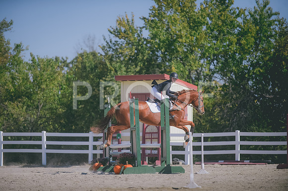 JJS_2932