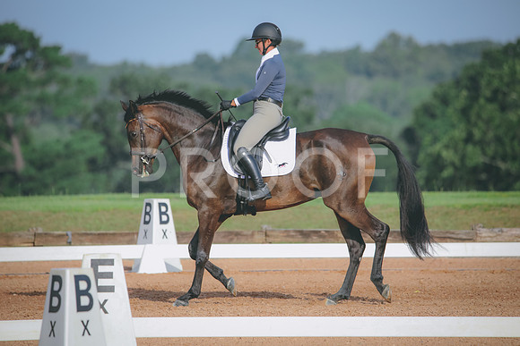 RWP_4409