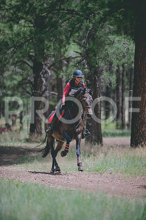 JJS_1799A