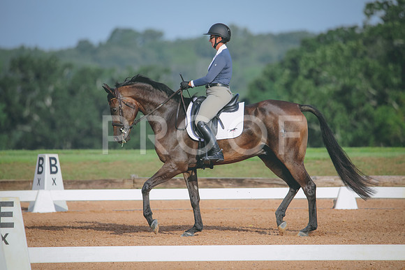 RWP_4407