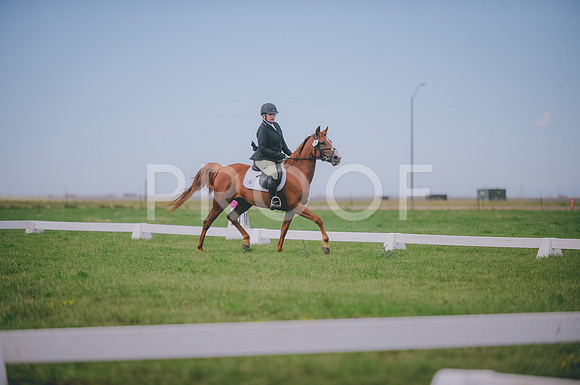 JJS_0618