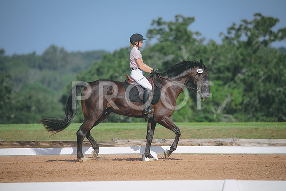 RWP_4642