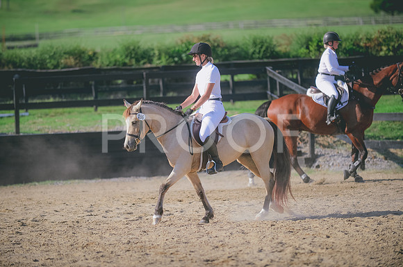 JJS_6761
