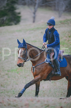 JJS_2462