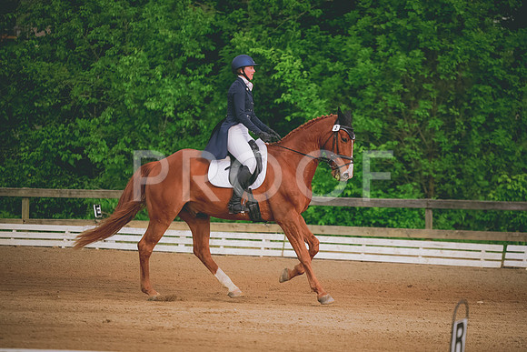 2E8A7906