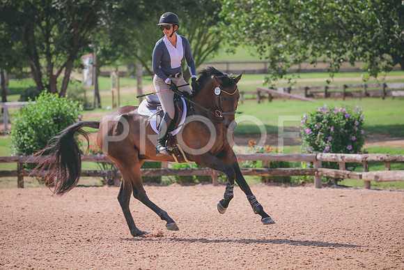 RWP_4824