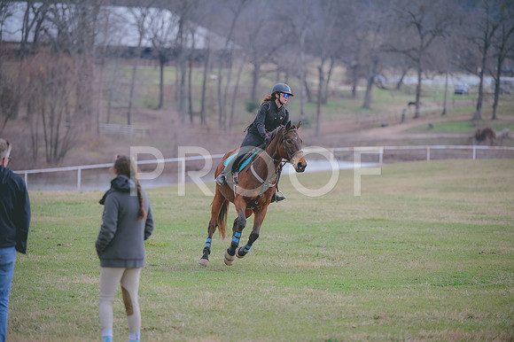 JJS_0099