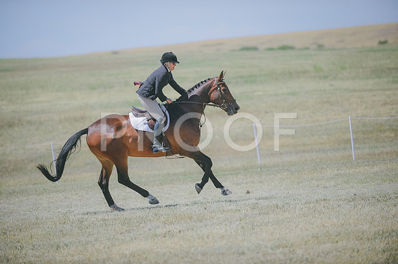 JJS_7046