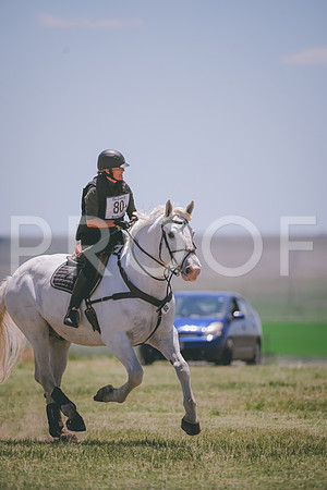 DSC_4278A