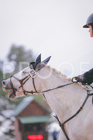 JC5_9436