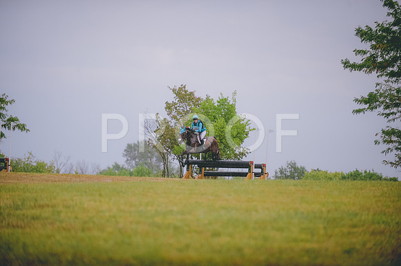 JJS_4132
