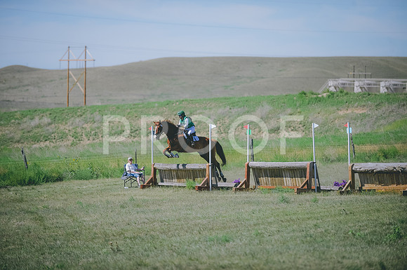 JJS_8001