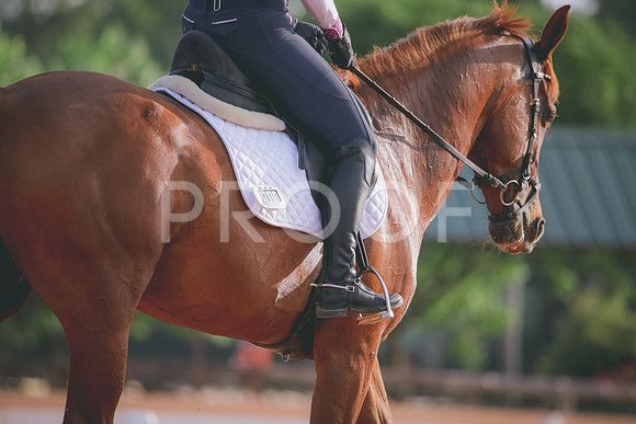 RWP_4269